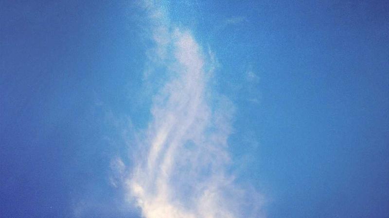V66体育实时赛事数据与智能分析